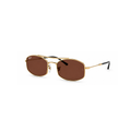 Ray-Ban Red Sunglasses (RB3719), angled side view