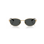 Ray-Ban Black Gold Sunglasses (RB3774), front view