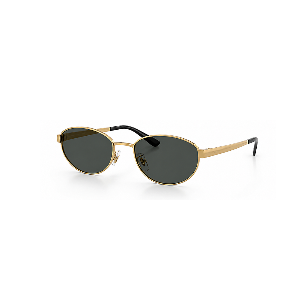 Ray-Ban Black Gold Sunglasses (RB3774), angled side view